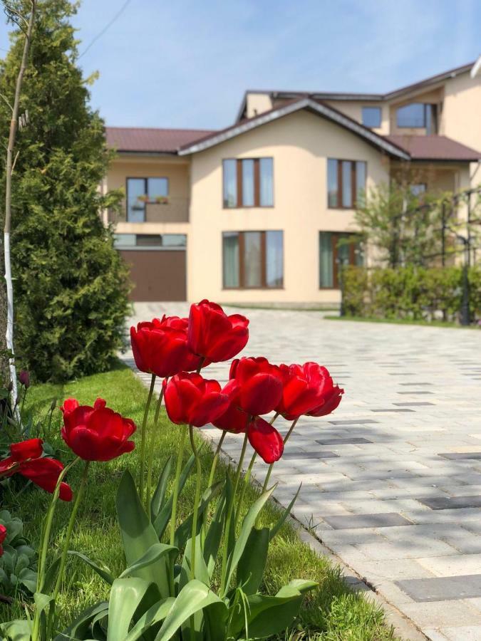 Eden Blue Ξενοδοχείο Costinești Εξωτερικό φωτογραφία